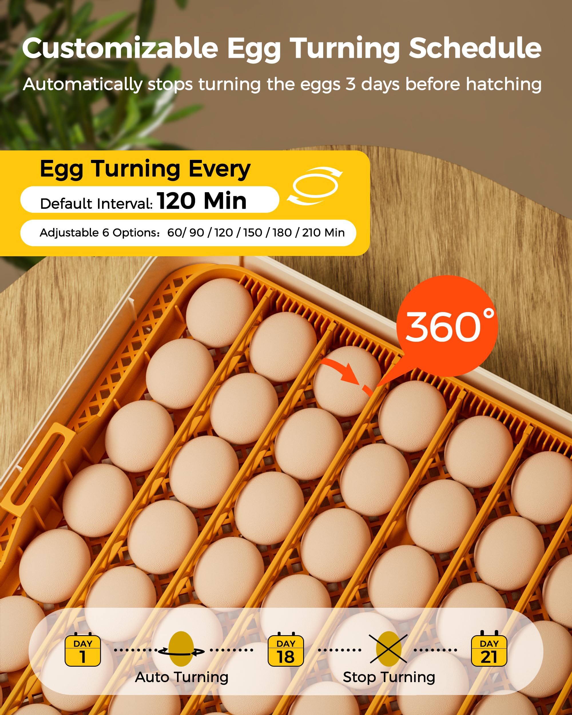 Incubadora de 56 huevos con giro automático de huevos y control de humedad, visualización de 360°, bandejas de huevos de doble tamaño para pollo, pato, ganso, pavo, codorniz y huevos de loro