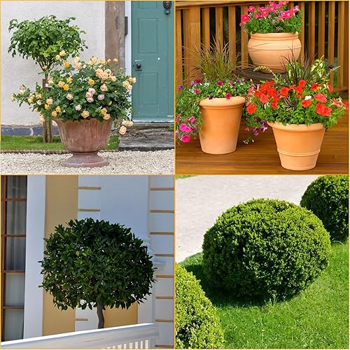 Miniatura 6 de Cubiertas para plantas contra el congelamiento de invierno, 47 x 70 pulgadas, 2.36 onzasyardas, cubierta de tela helada, manta para plantas de