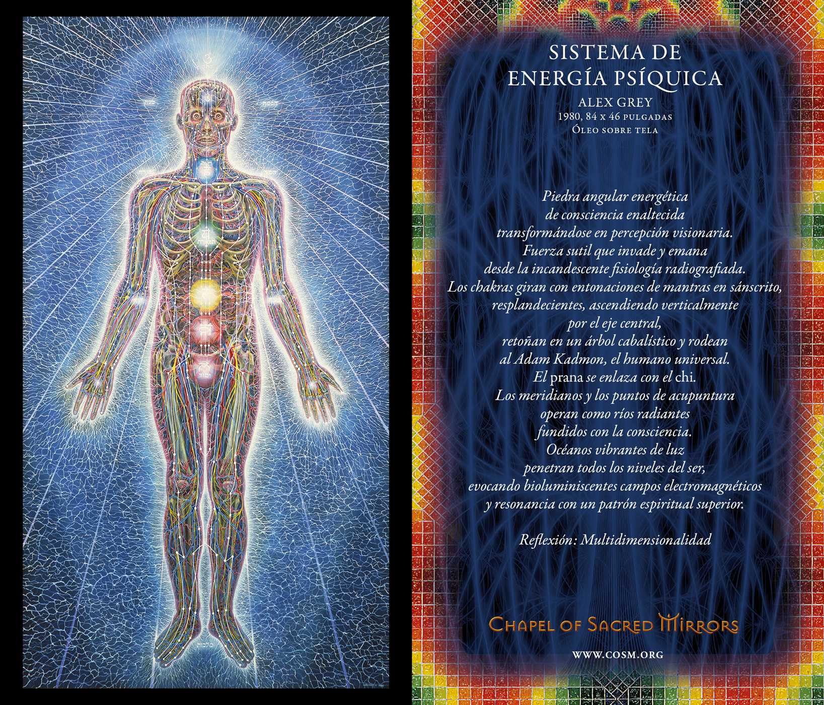 Amazon.in: Alex Grey: books, biography, latest update
