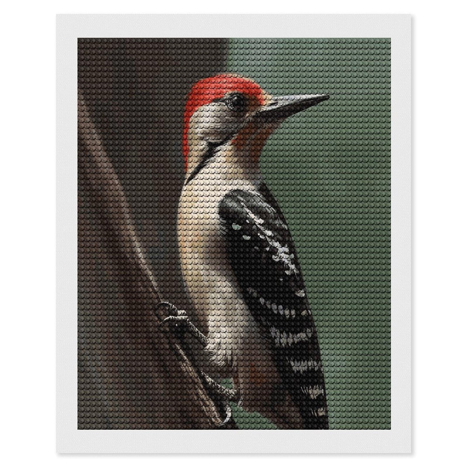 FekiLoot Diamond Art Kits for Adults, DIY 5D Woodpecker Diamond Painting Kits for Beginners, Full Round Drill Diamond Dots Painting Gem Art Crafts for Home Wall Decor & Gift 16"x20"