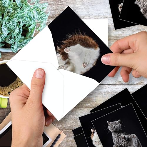 Miniatura 6 de The Best Card Company - 20 adorables tarjetas de felicitación para gatos (4 x 5.12 pulgadas) - Surtido en blanco (10 diseños, 2 de cada uno) - Under