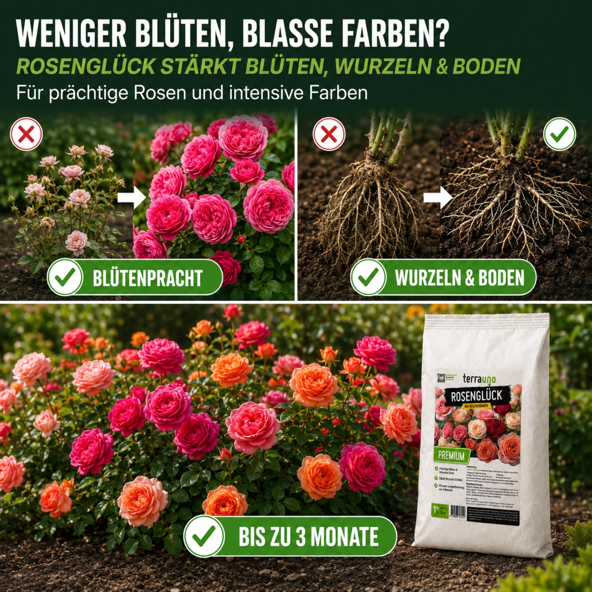 TerraUno Rosenglück Rosendünger Bio 1 kg, Rosen Dünger Langzeit für Beet-, Kletter- & Edelrosen, stärkt Wurzeln, für Prächtige Blüten & Intensive Farben, Organischer Blumendünger