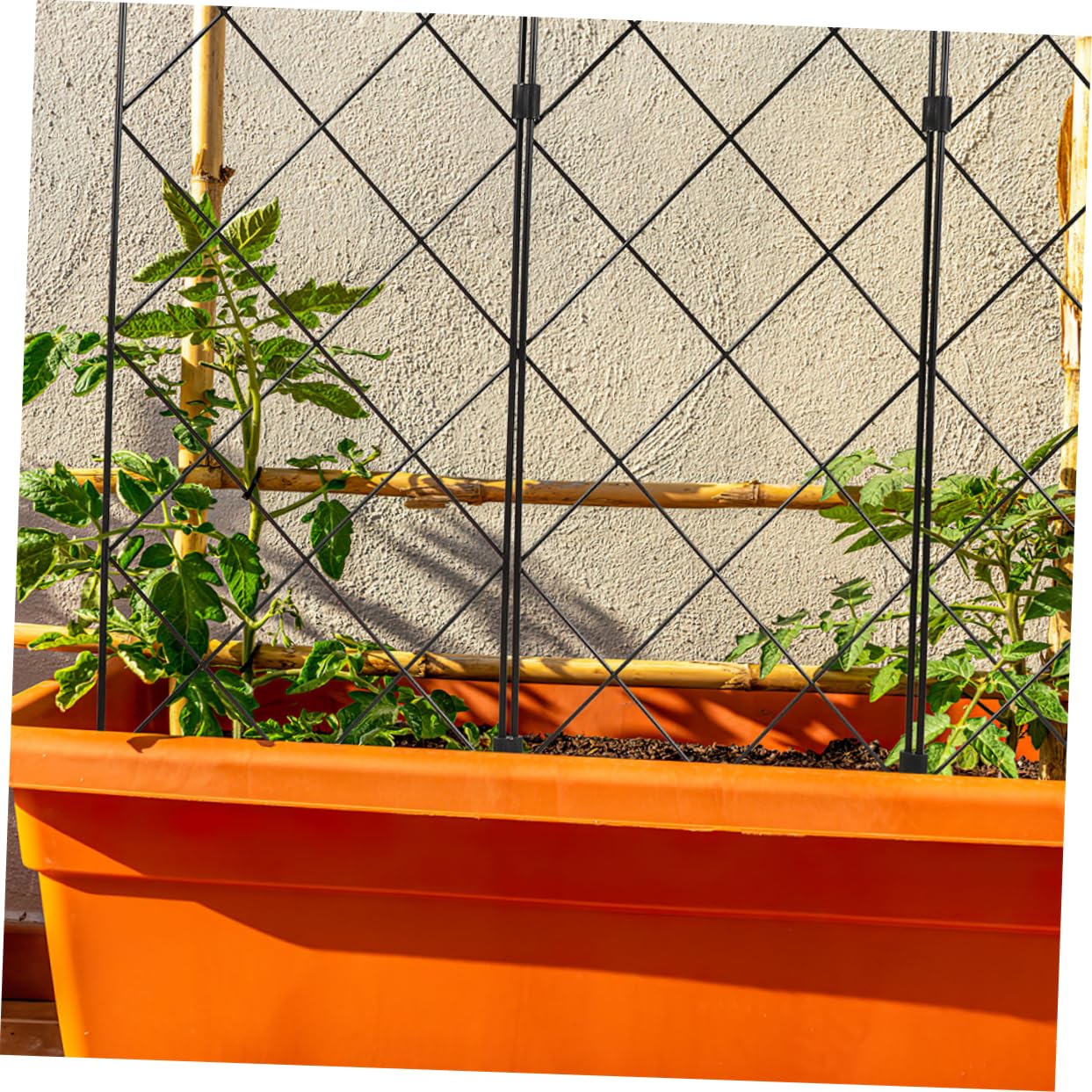 Treillis de Jardin Pliable en Fer, 5 Pièces, pour Plantes Grimpantes