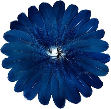FeelfunFeather 120pcs Navy Blue Goose Feathers 6-8 Inch 15-20cm ...