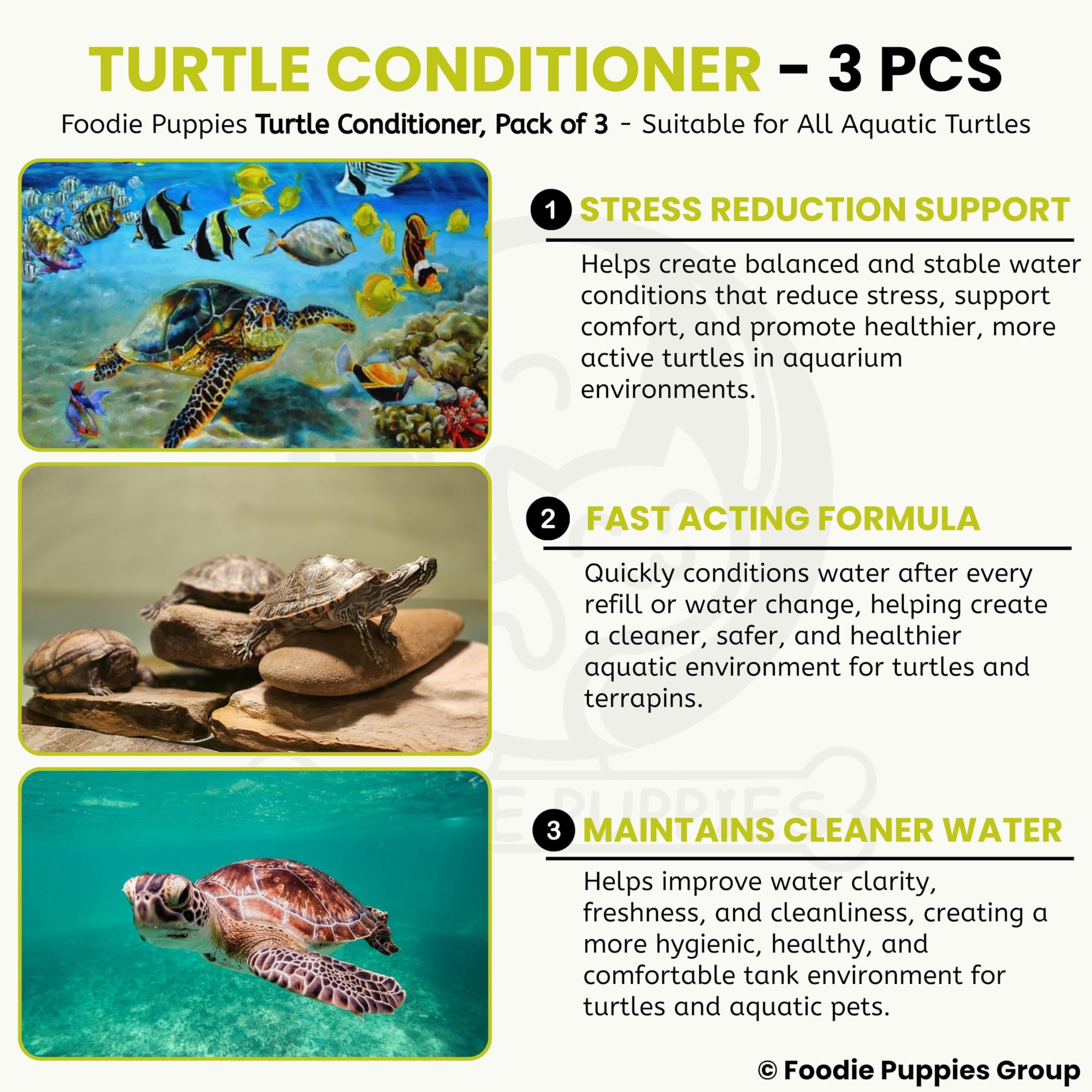 Foodie Puppies Turtle Conditioner Blocks for Aquatic Turtles (Pack of 3) | Calcium & Vitamin D3 Enriched Formula | Supports Strong Shell, Clean Water & Healthy Growth for Turtles & Aquatic Reptiles 3