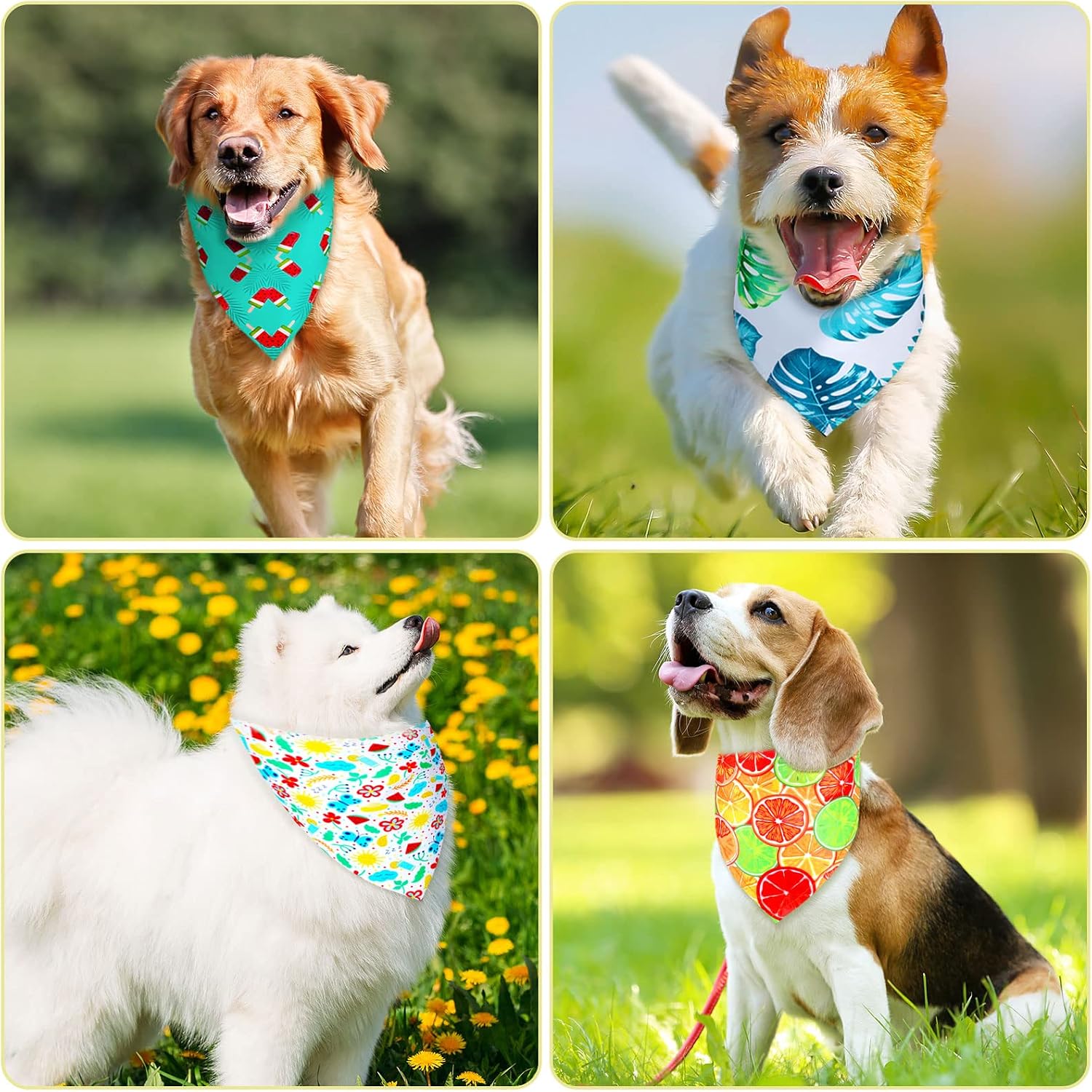 Eccliy 30 Pack Dog Bandanas Summer Bulk Adjustable Fruits Medium Dog Scarfs image 5