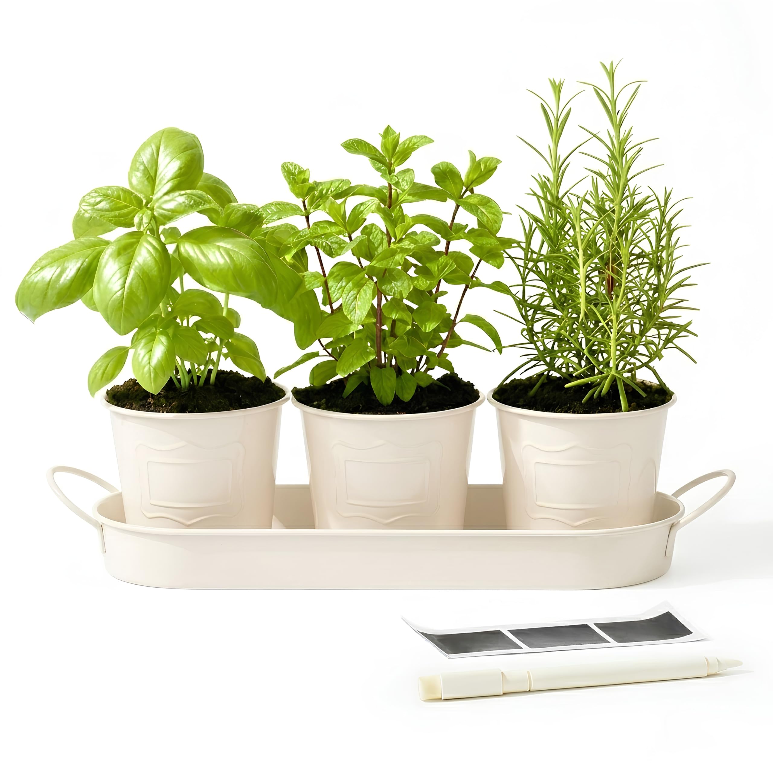 DIVCHI Metal Herb Planter Pots Set of 3 with Tray & Chalk Labels – Indoor Herb Garden Kit for Kitchen Windowsill – Decorative Herb Pots for Basil, Mint, Rosemary – Indoor & Outdoor Use (Beige) — image 1
