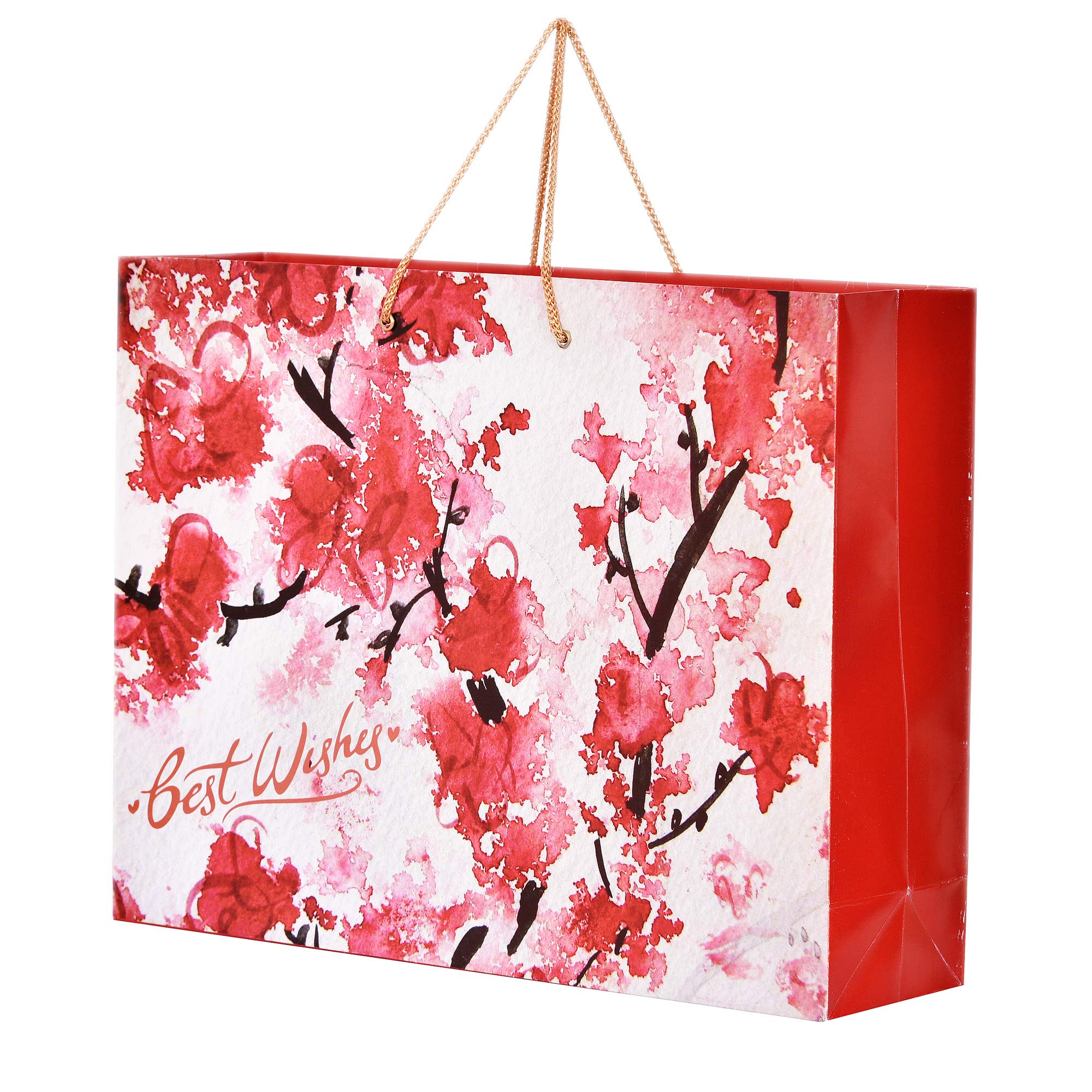 PPJ ® - PAPER CARRY BAG (FLORAL BEST WISHES) 16 Inch X 12 Inch X 4 Inch (Large) for DIWALI/FUNCTION/RETURN GIFTS (Pack of 10) (B07NZCNMXH) Amazon Price History, Amazon Price Tracker