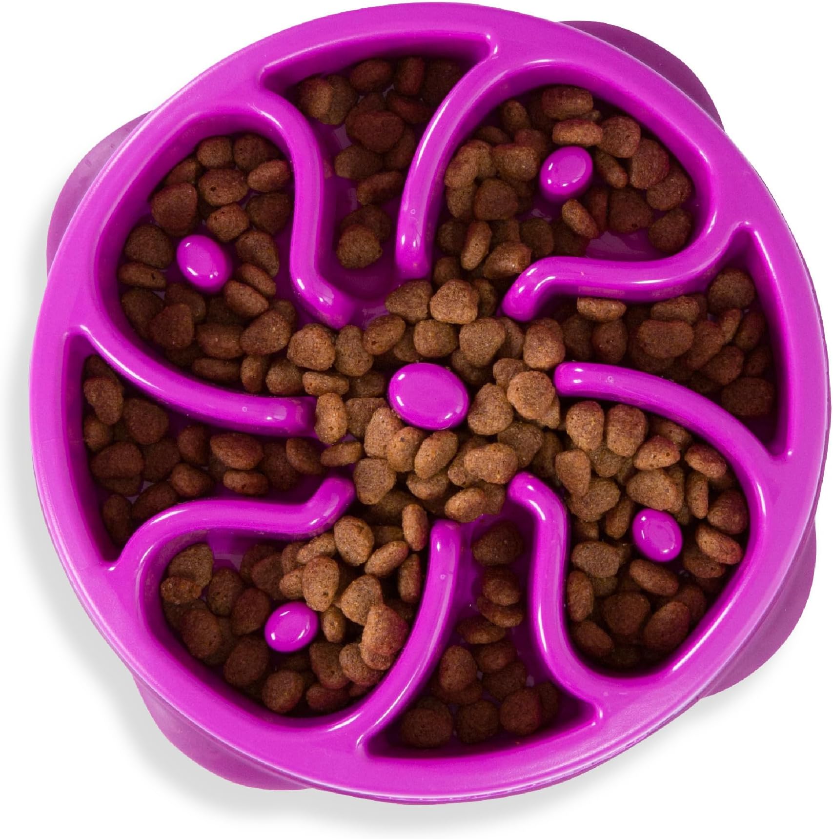 Curated visual reference: Slow Feeder For Dogs With Beef Allergies Reference: Amazon Com Outward Hound Fun Feeder Slo Bowl Slow Feeder