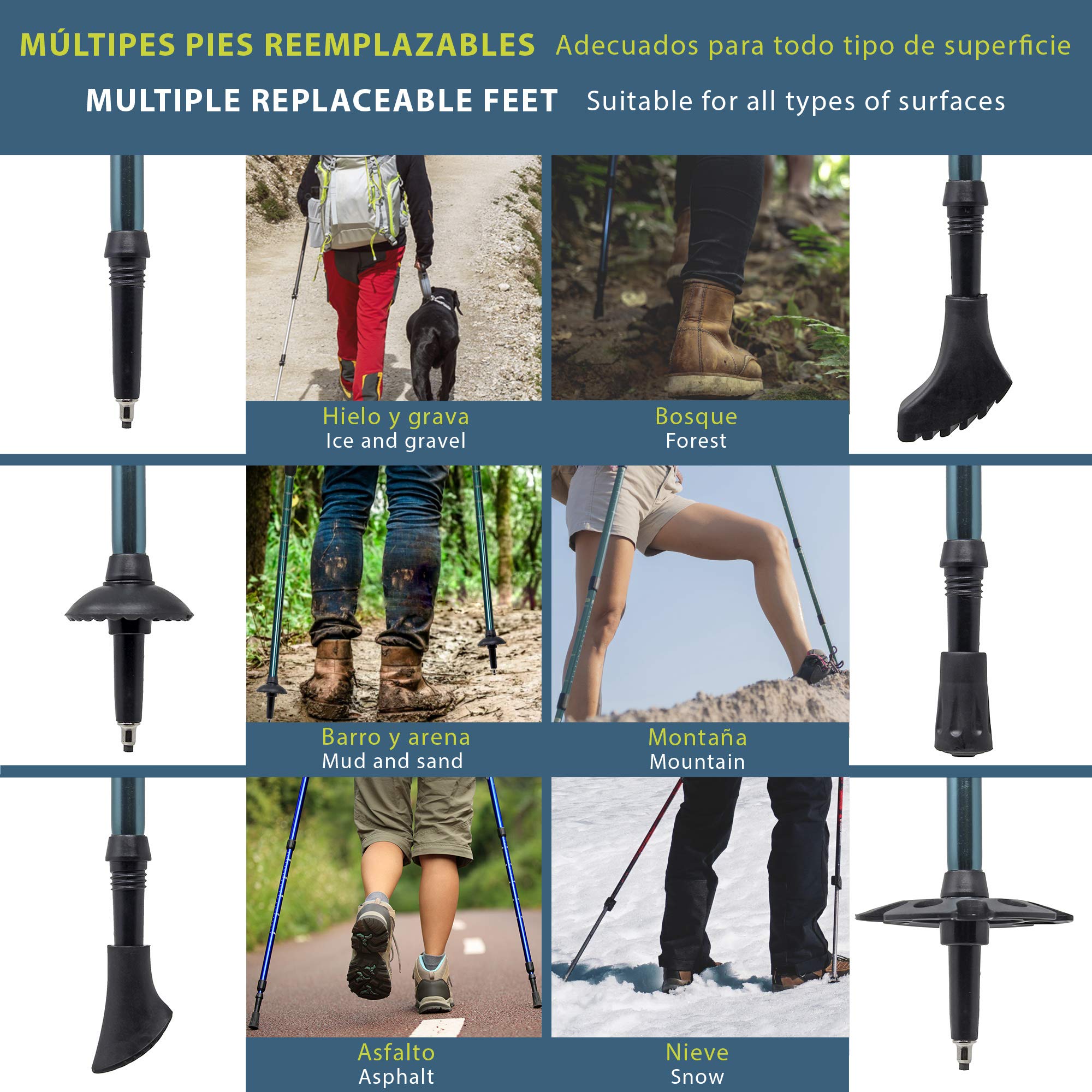 Daikoku - Bastoni da Trekking Estensibili 65-135cm | Leggeri e Resistenti in Alluminio | Impugnatura Ergonomica | Adatti a Tutti i Terreni con 6 Punte e Zaino Trail | Montagna, Trekking e Camminata