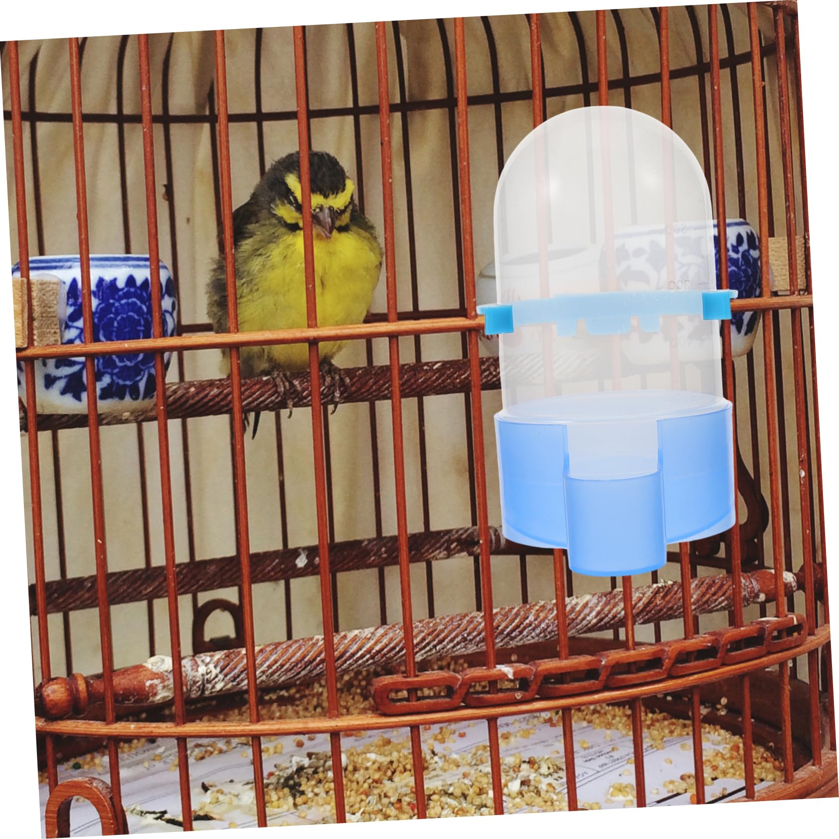 BESPORTBLE 4pezzi Mangiatoia Automatica Per Uccelli Con Distributore e Cibo Bevitore Multifunzione Per Pappagalli e Uccelli Domestici Realizzato Materiali Resistenti e Durevoli Facile Da