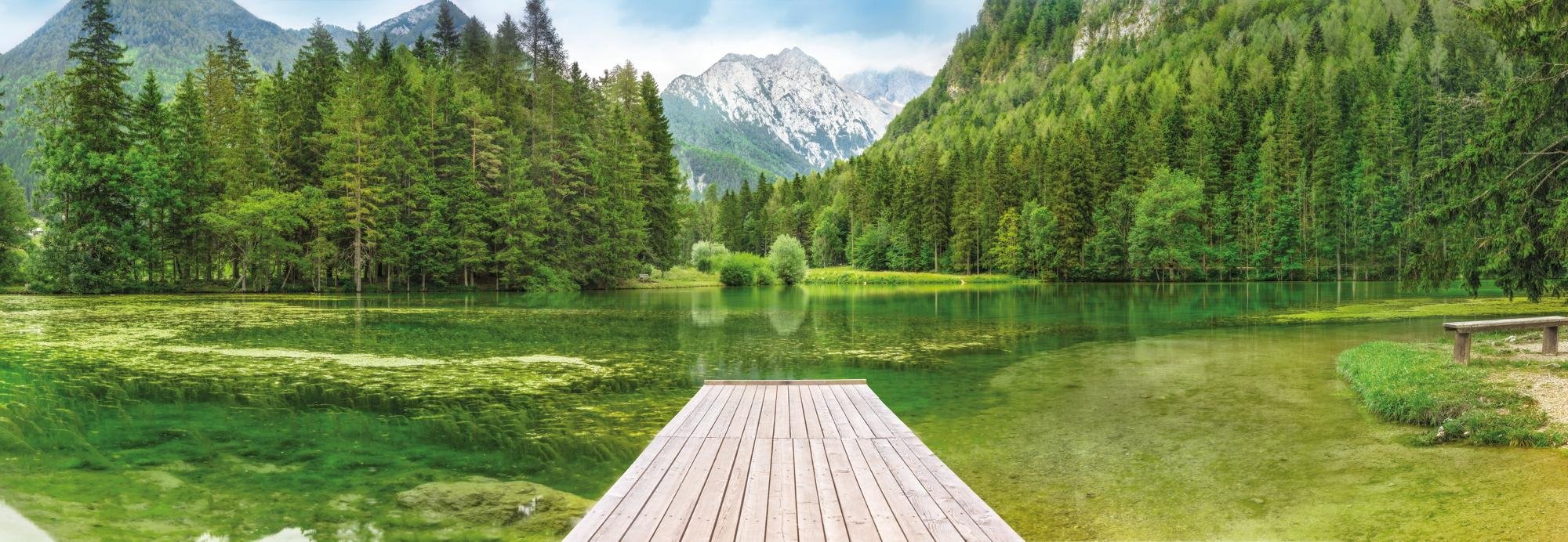 Green Lake Wall Mural, Colourful, cm
