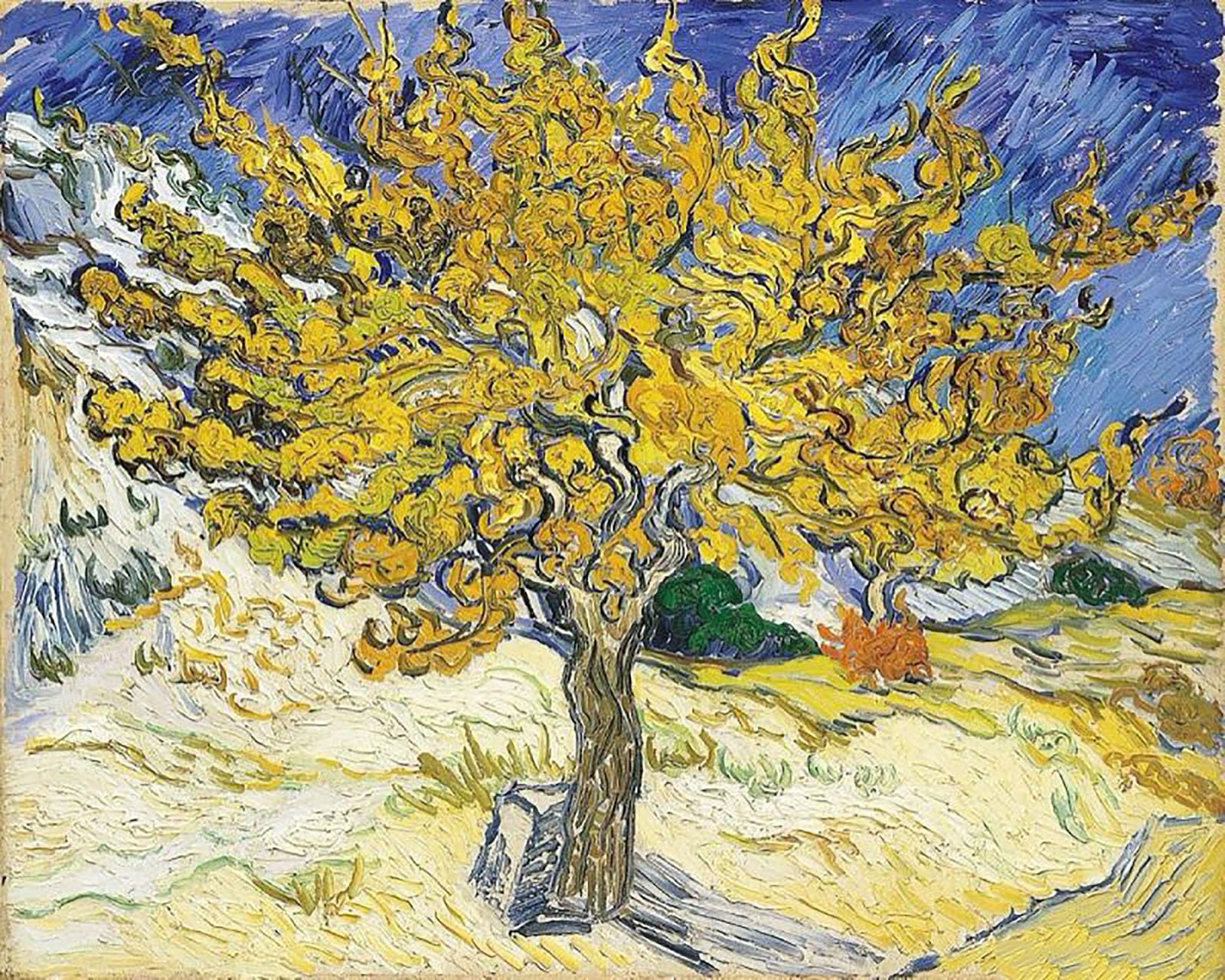 ZHXXFD Paint By Numbers for Adults Kids Beginners Landscape Famous Paintings with Frame 40X50CM The Mulberry Tree - Vincent Van Gogh,A16