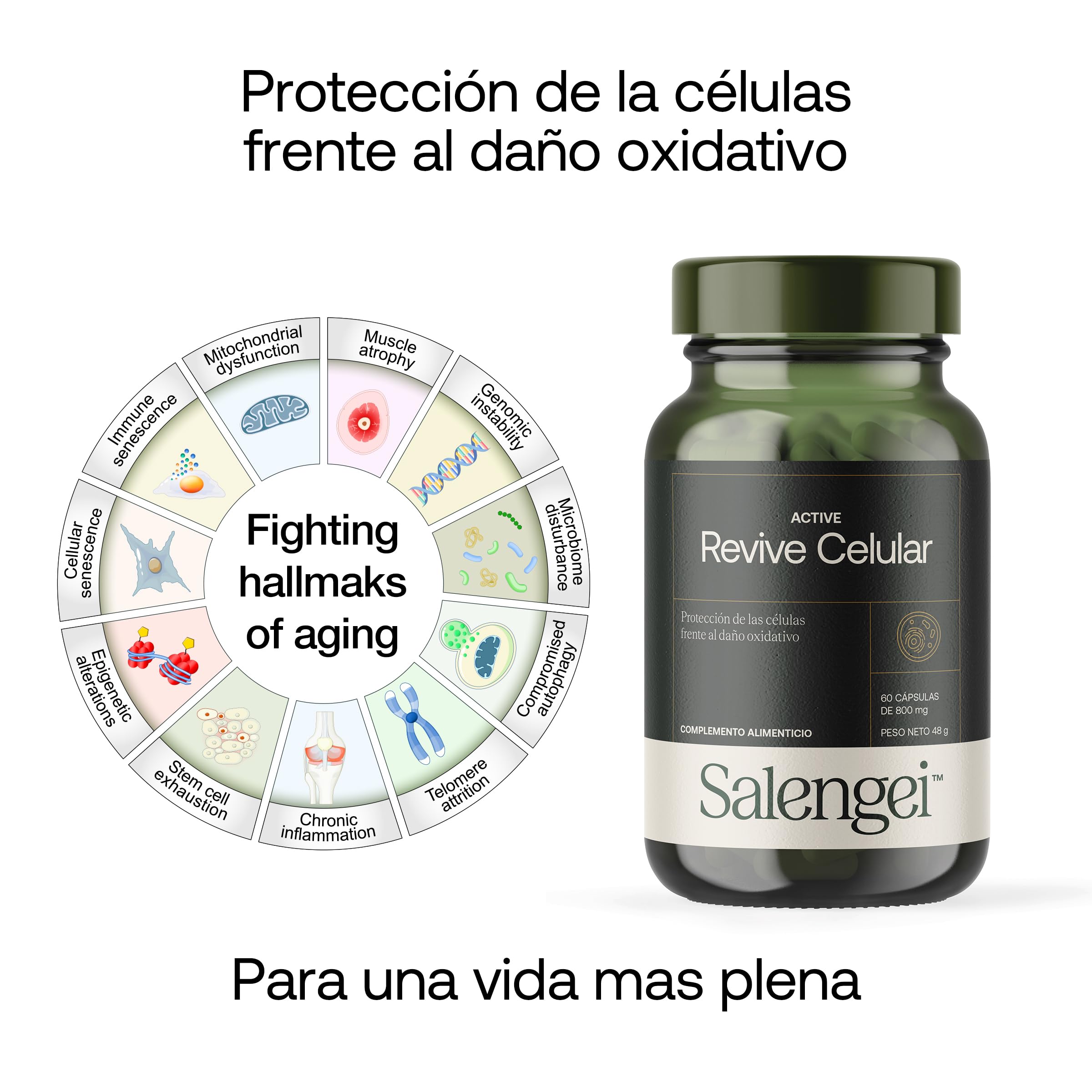 ACTIVE REVIVE CELULAR - Protección de las células frente al daño oxidativo | Fisetina, té verde, curcumina, reishi, resveratrol, quercetina, berberina, CoQ10, vitamina C, PQQ y astaxantina |