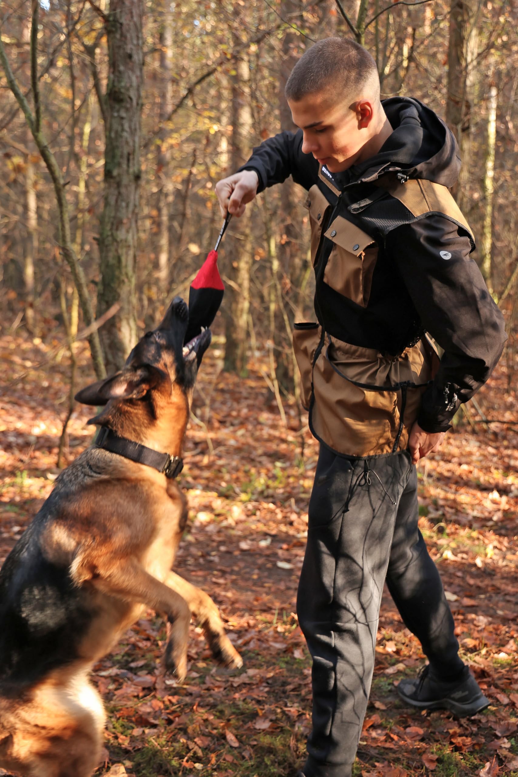 DINGO GEAR Professional Vest for Dog Training D35
