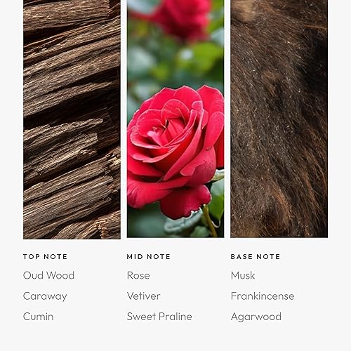 Miniatura 351 de Aroma360 Dream On - Mezcla de aceites aromáticos – 16.9 fl oz – Aceite difusor de aromaterapia perfumado con té blanco sereno, aloe vera curativo