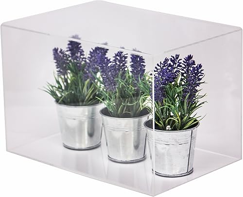 Vista 546 de Better Display Cases Versátil vitrina de acrílico transparente - Caja rectangular grande con base blanca 18" x 12" x 3" (BK09)