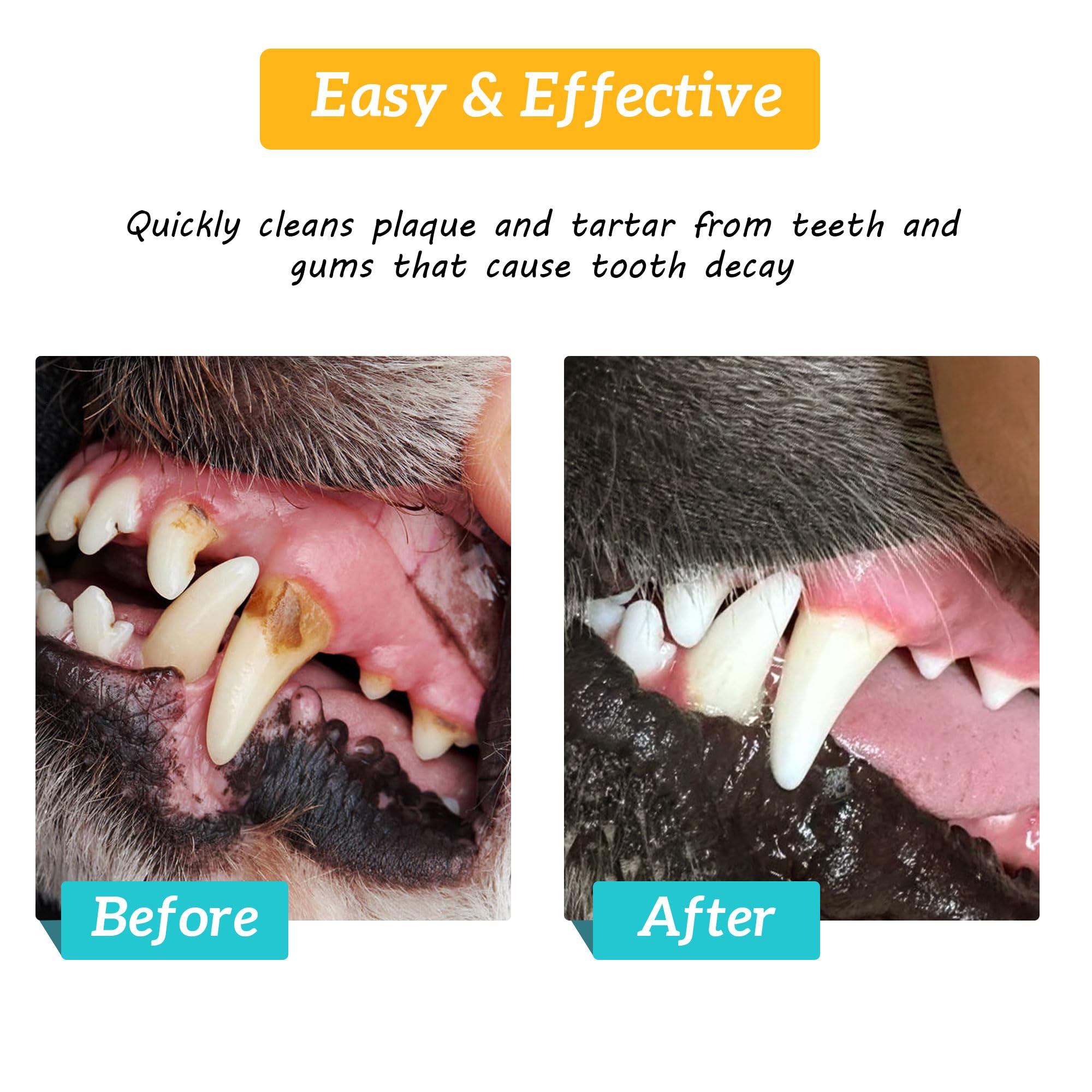 Pet Dental Finger Wipes, Dog & Cat Teeth Cleaning, Plaque Control & Breath Freshening, Regular Size, Suitable for Pet Toothbrushes (50 Count) - image 4
