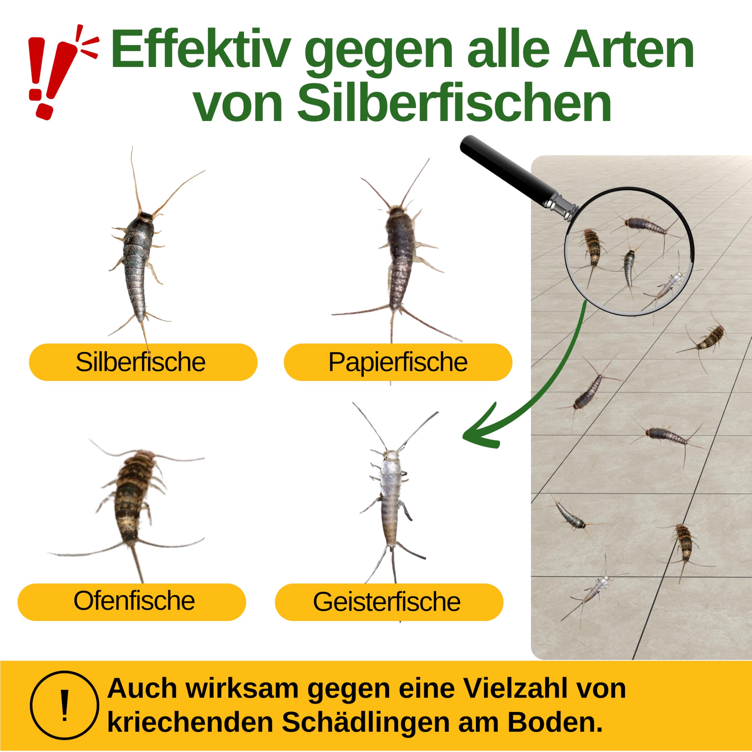 GREEN GUARDIA Silberfischfalle mit Pheromon-Lockstoff - 10x Fallen - umweltfreundlich Silberfische bekämpfen, Chemiefreie Pheromonfalle mit austauschbaren Klebeflächen, giftfrei und geruchsneutral