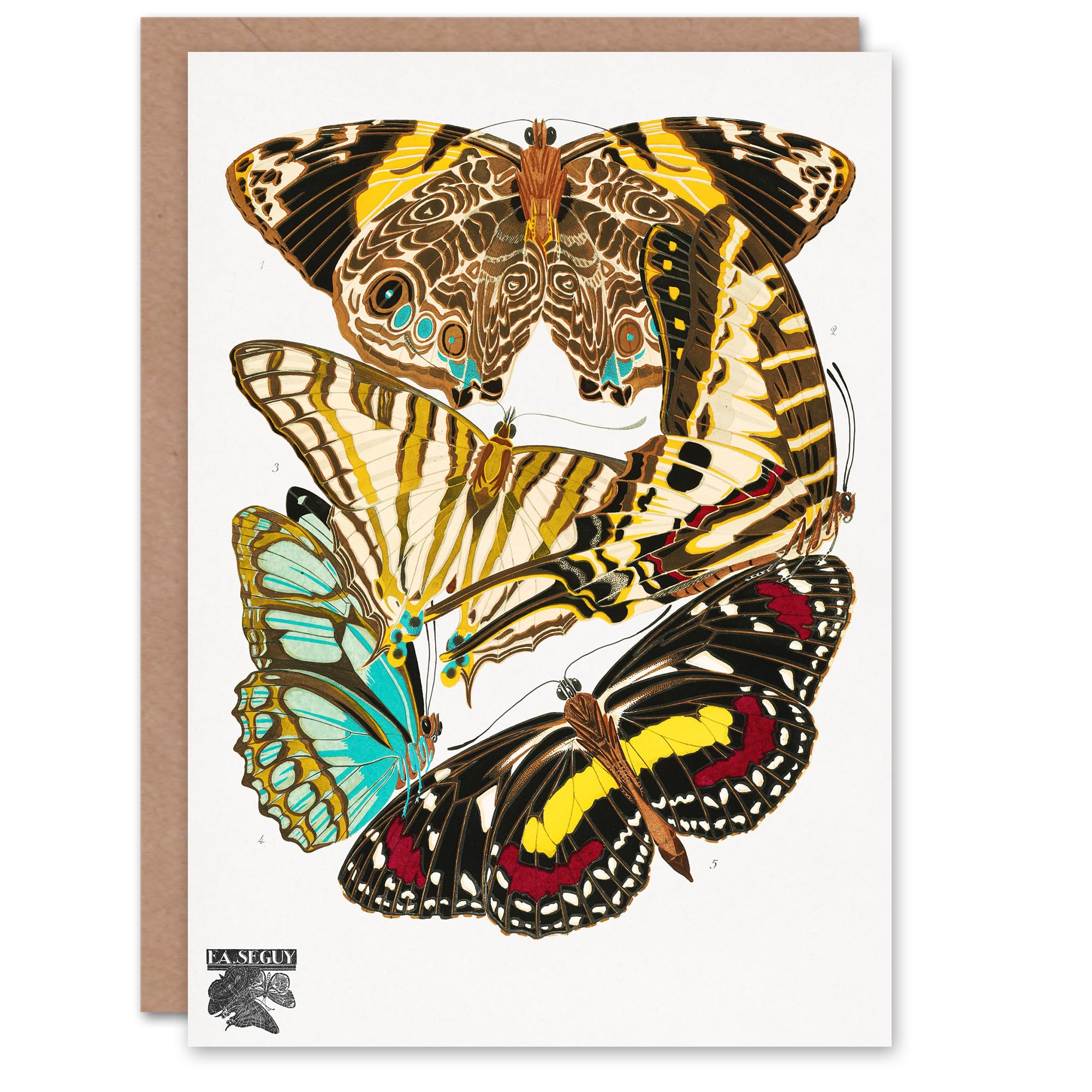 Artery8 Eugene Seguy Art Card Papillons Butterflies Vintage