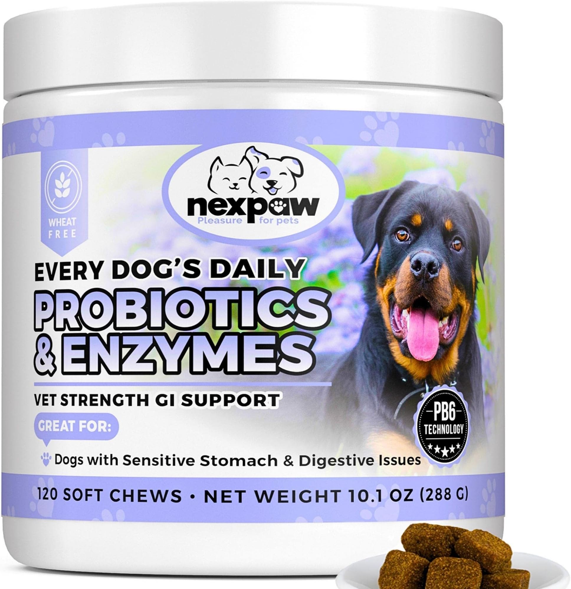 Probiotics and Enzymes