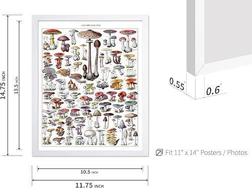 Miniatura 172 de Poster Master Póster vintage de orquídea, estampado de flores retro, arte de pared de plantas exóticas, arte botánico, regalo para hombres y