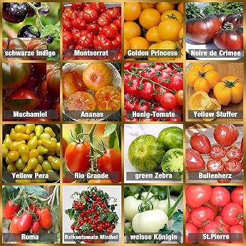 Tomato Seed Set, 16 x 10 Seeds, Tomatoes Mix, 100% Natural Seeds, Hand-Picked from Portugal, Rare and Old Varieties, Seeds wi