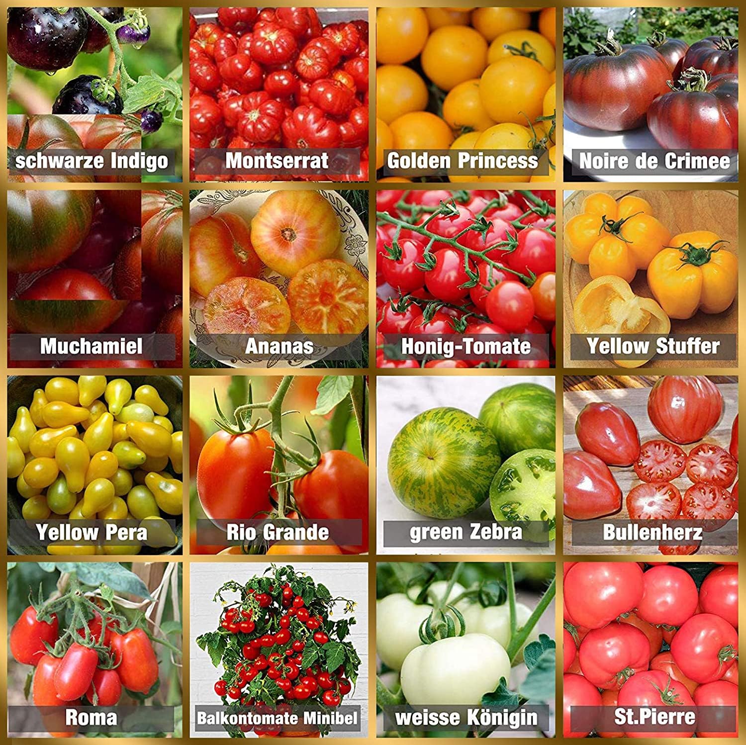 Set de graines de tomates PRADEMIR