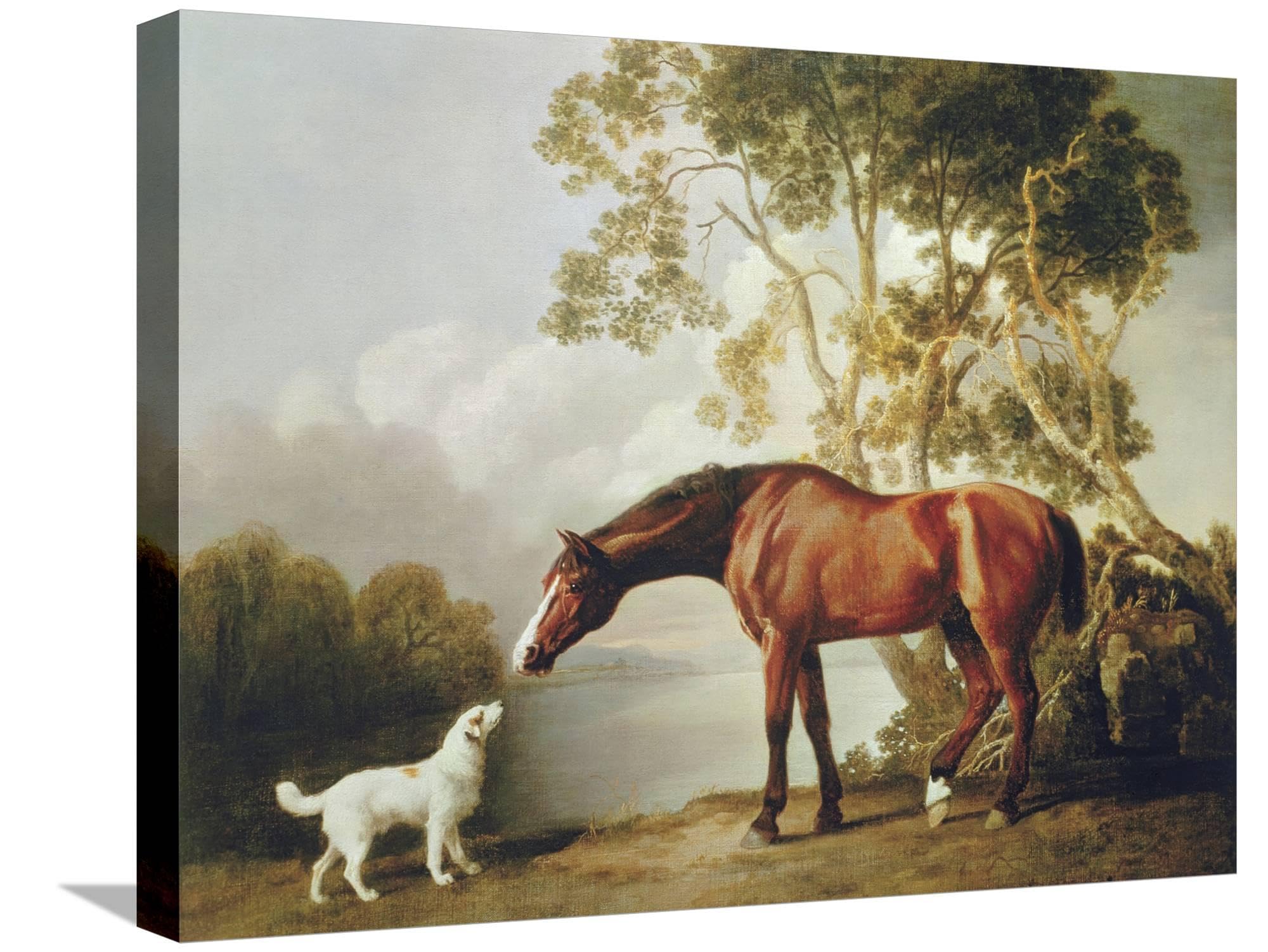 Amazon.com: ART.COM Stretched Canvas Print Bay Horse and White Dog