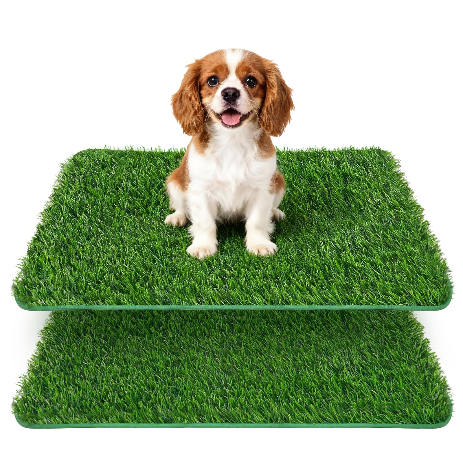 Lot de 2 toilettes pour chien pour la maison - 58,5 x 46 cm - Gazon artificiel - Toilettes pour chien - Maison de toilette pour chien - Toilettes de rechange - Pour appartement, balcon, litière