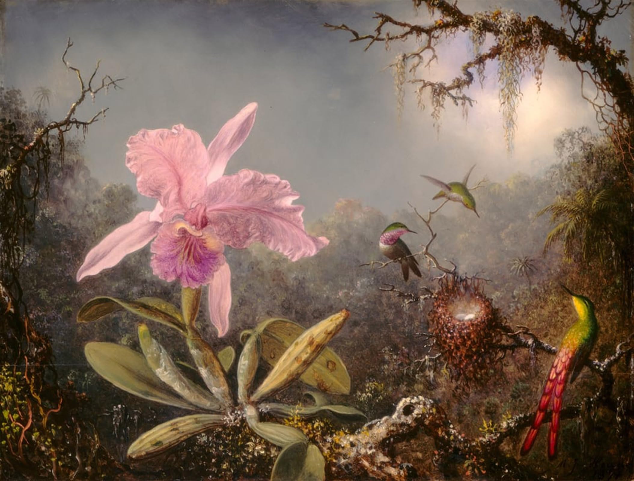 SERENDIPITP Abstract Painting Mural Print Picture Wall Decor Painting Cattleya Orchid and Three Hummingbirds by Martins Johnson Heade Vintage Wall Artwork for Home Decor 60x90cm