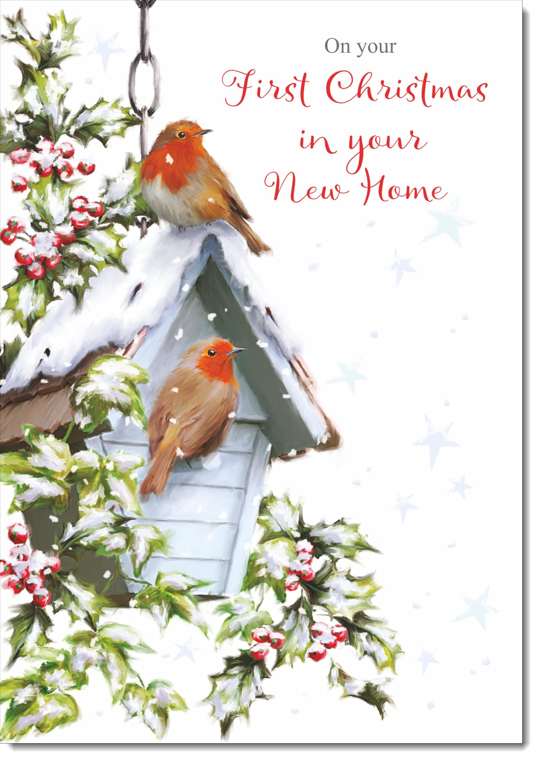 doodlecards 1st First Christmas in New Home Christmas Card Two Robins in Snow Large A4 Size Christmas Card for 1st in New Home with Plain Envelope — image 1