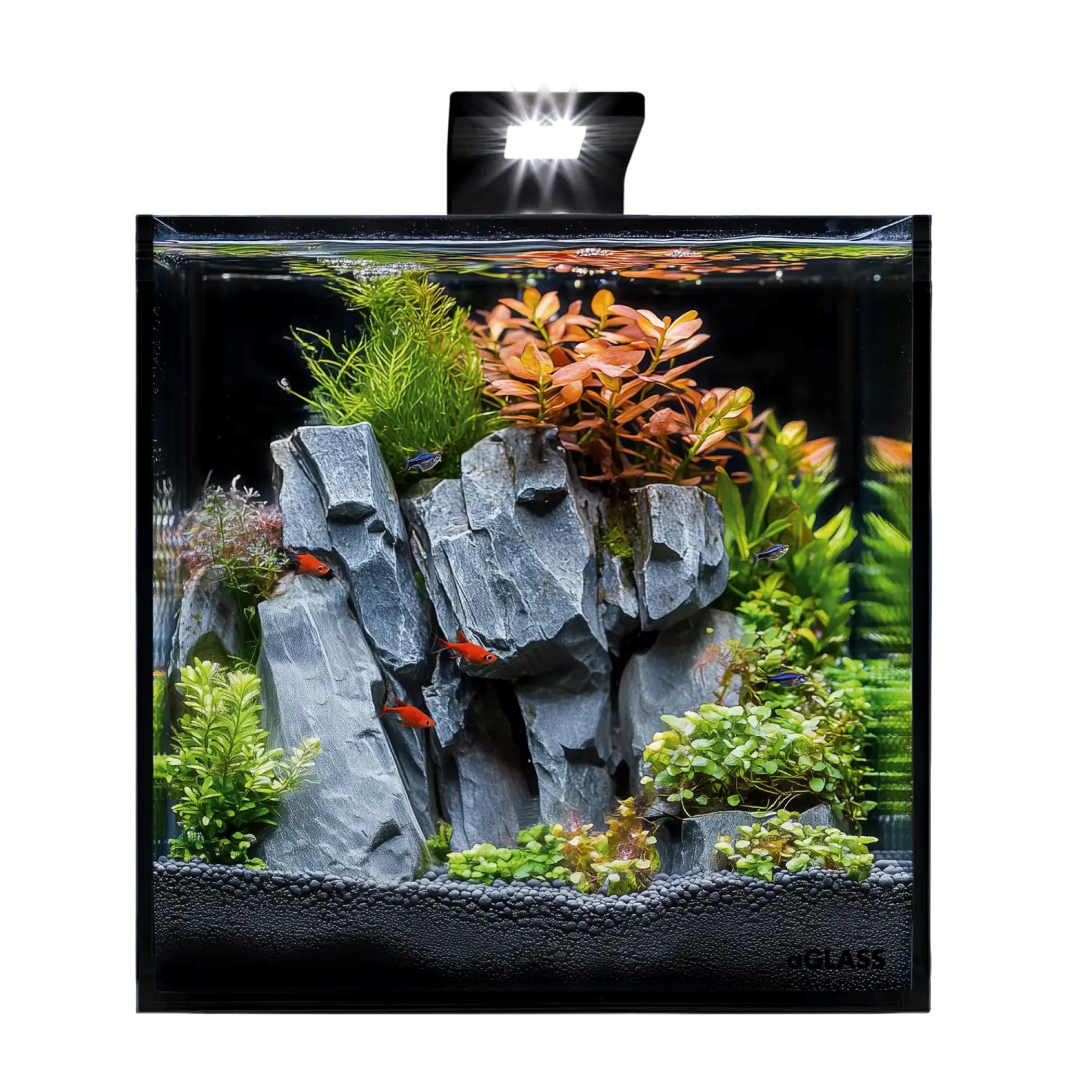 Nano-Aquarium Black Cube 20 L mit LED-Beleuchtung, Abdeckscheibe und Unterlegmatte für Garnelen, Krebse und kleine Fische