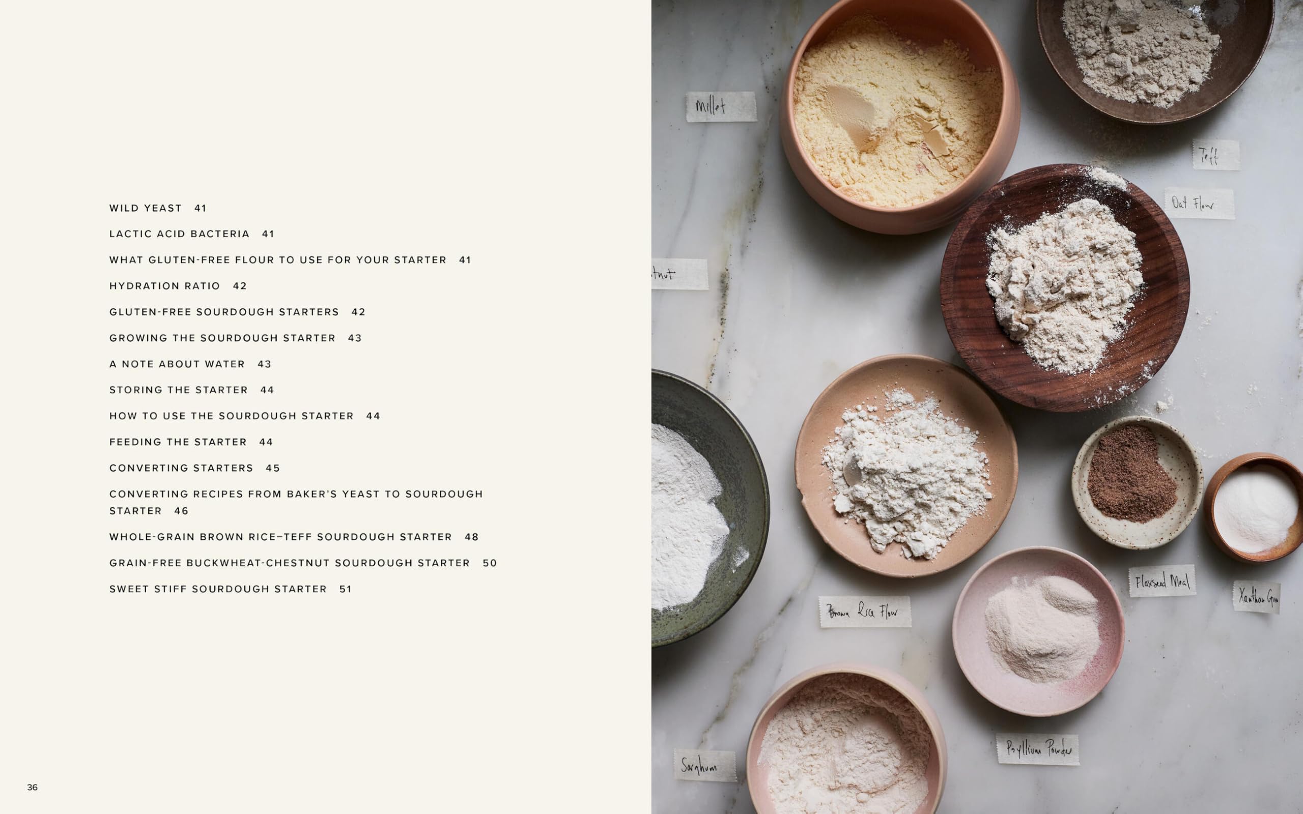 The Art of Gluten-Free Bread: More than 100 Recipes for Sourdough, Croissants, Flatbread, and Beyond