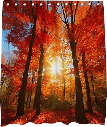 Cortina de ducha de hojas de arce roja, rústica, estética, luz escénica, sol, otoño, moderno, bosque de árboles, naturaleza, juego de decoración de