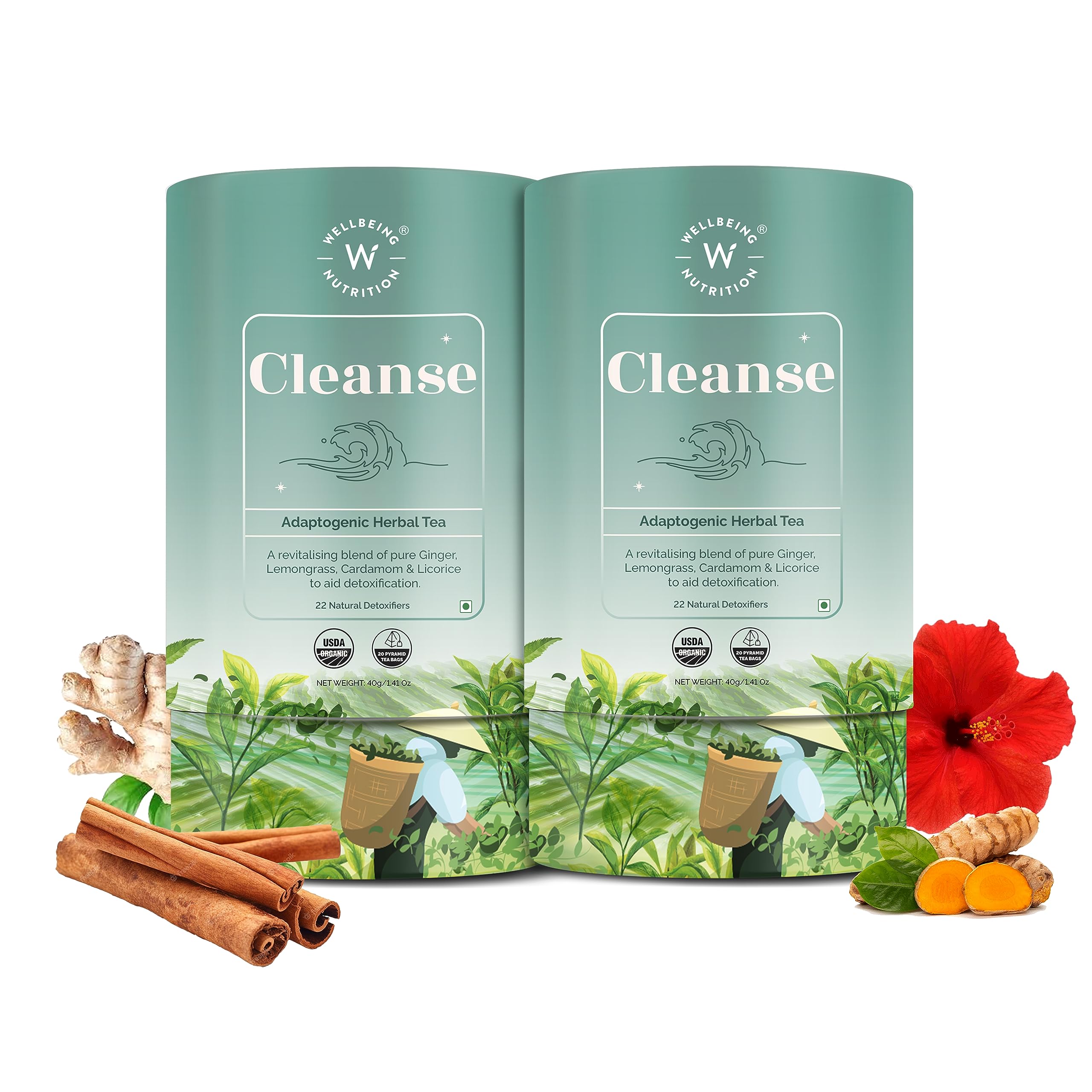 Wellbeing Nutrition Cleanse Tea | Herbal Tea for Healthy Detox, Improved Blood Circulation & Reduced Inflammation | Milk Thistle, Dandelion, Turmeric, Hibiscus (40 Pyramid Tea Bags) (B0CCXZKZ6V) Amazon Price History, Amazon Price Tracker