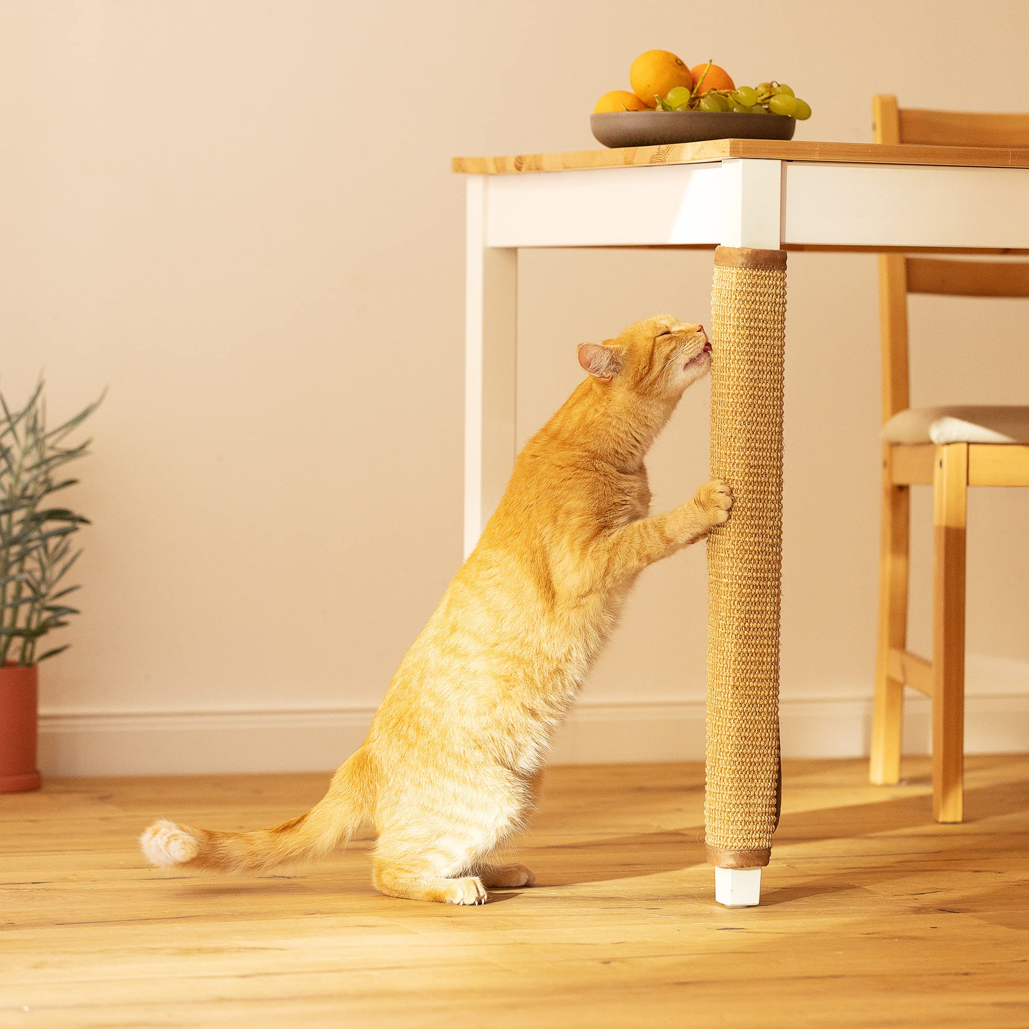 Navaris Tappeto Tiragraffi per Gatti Sisal - Tappetino Tiragraffi Gamba Tavolo - Tappeto Tira Graffi Protezione Gambe Sedie Cane Gatto - 60 x 25 cm