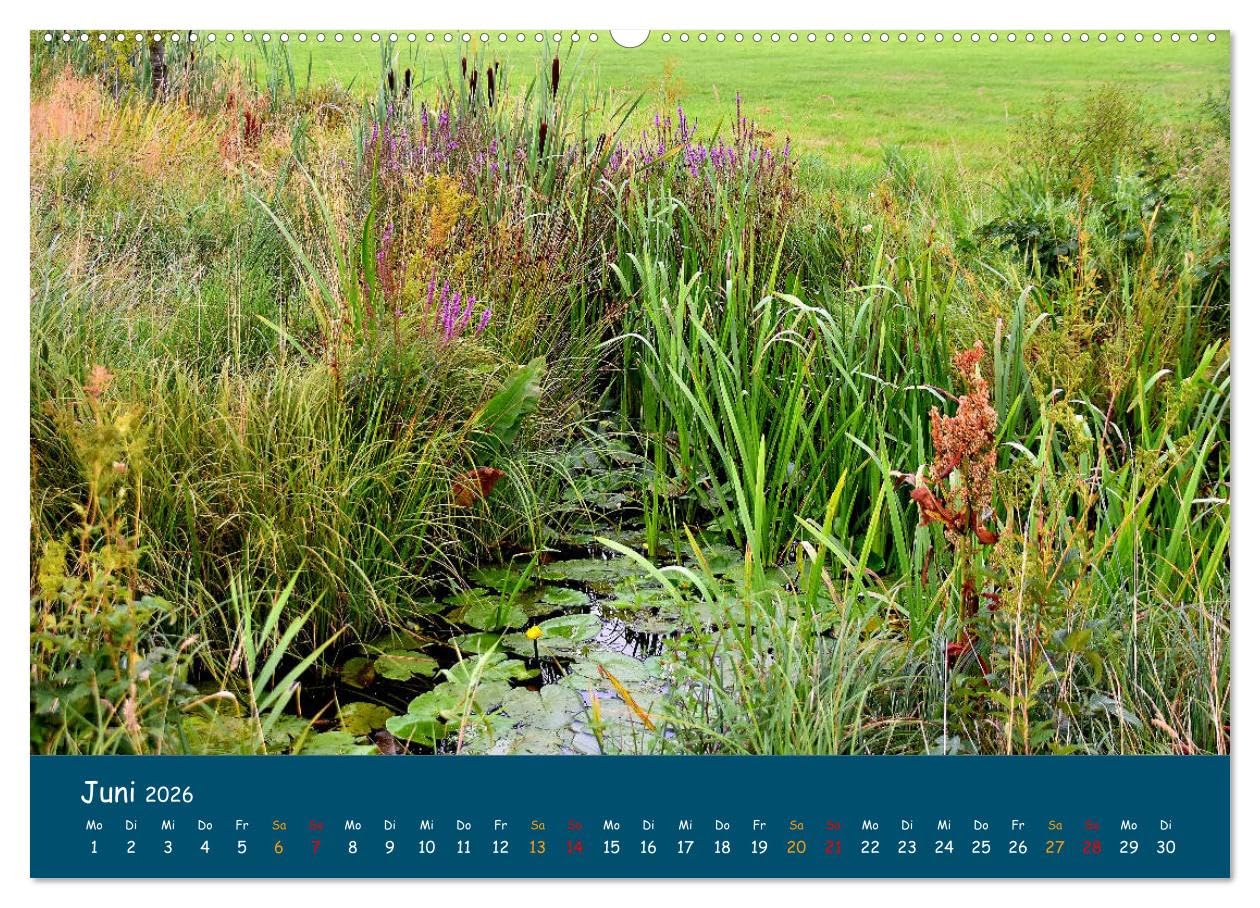 Naturschutzgebiet Wümme (hochwertiger Premium Wandkalender 2026 DIN A2 quer), Kunstdruck in Hochglanz: Ein Fotokalender mit Aufnahmen aus der Wümmeniederung, von Jens Siebert (CALVENDO Natur)
