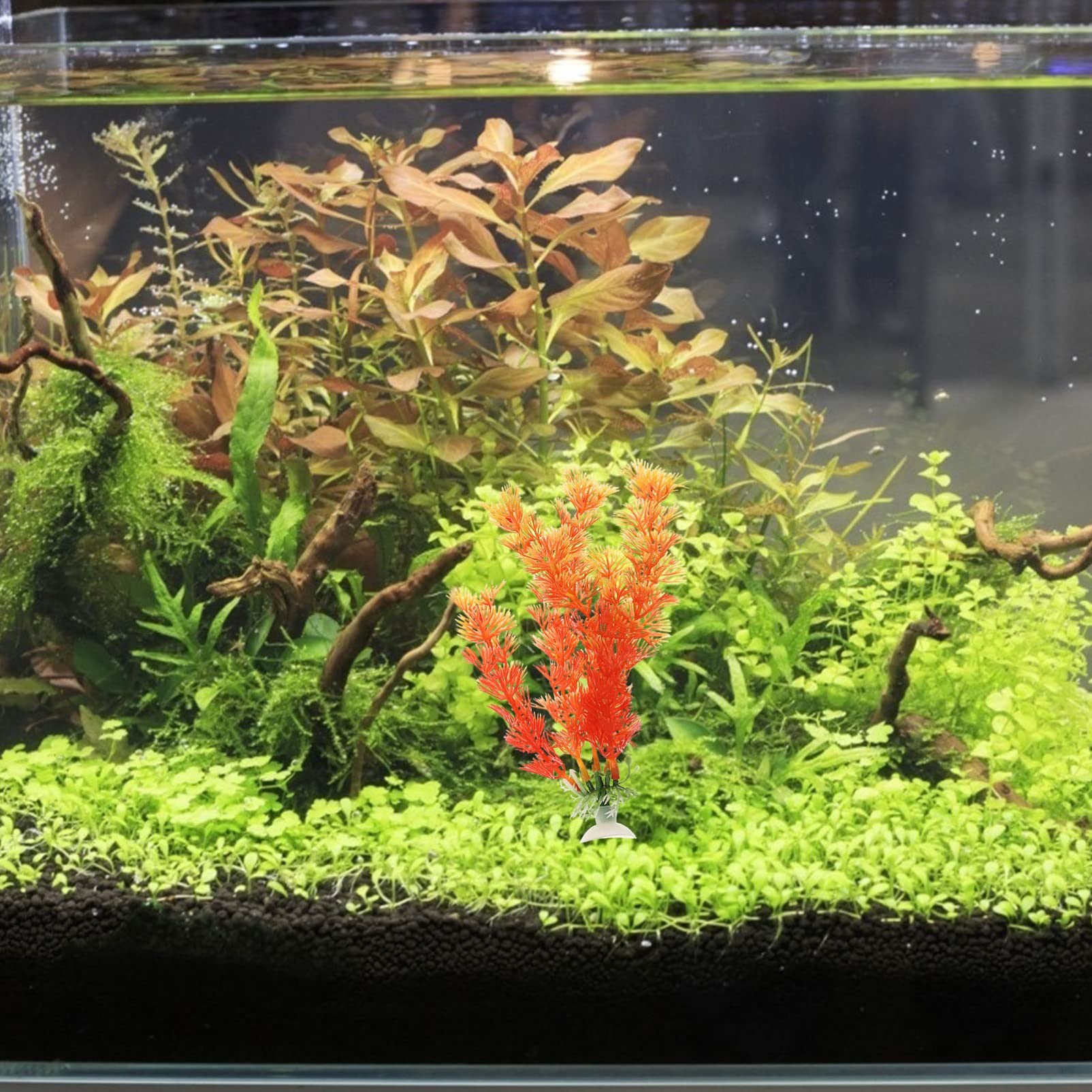 Sosoport 5 Juegos Pecera Paisajismo Agua Plantas Artificial Plants Aqua Plant Titular De La Planta del Acuario Decoración Al Aire Falso Decoración Decorativa del Acuario 6 Piezas * 5