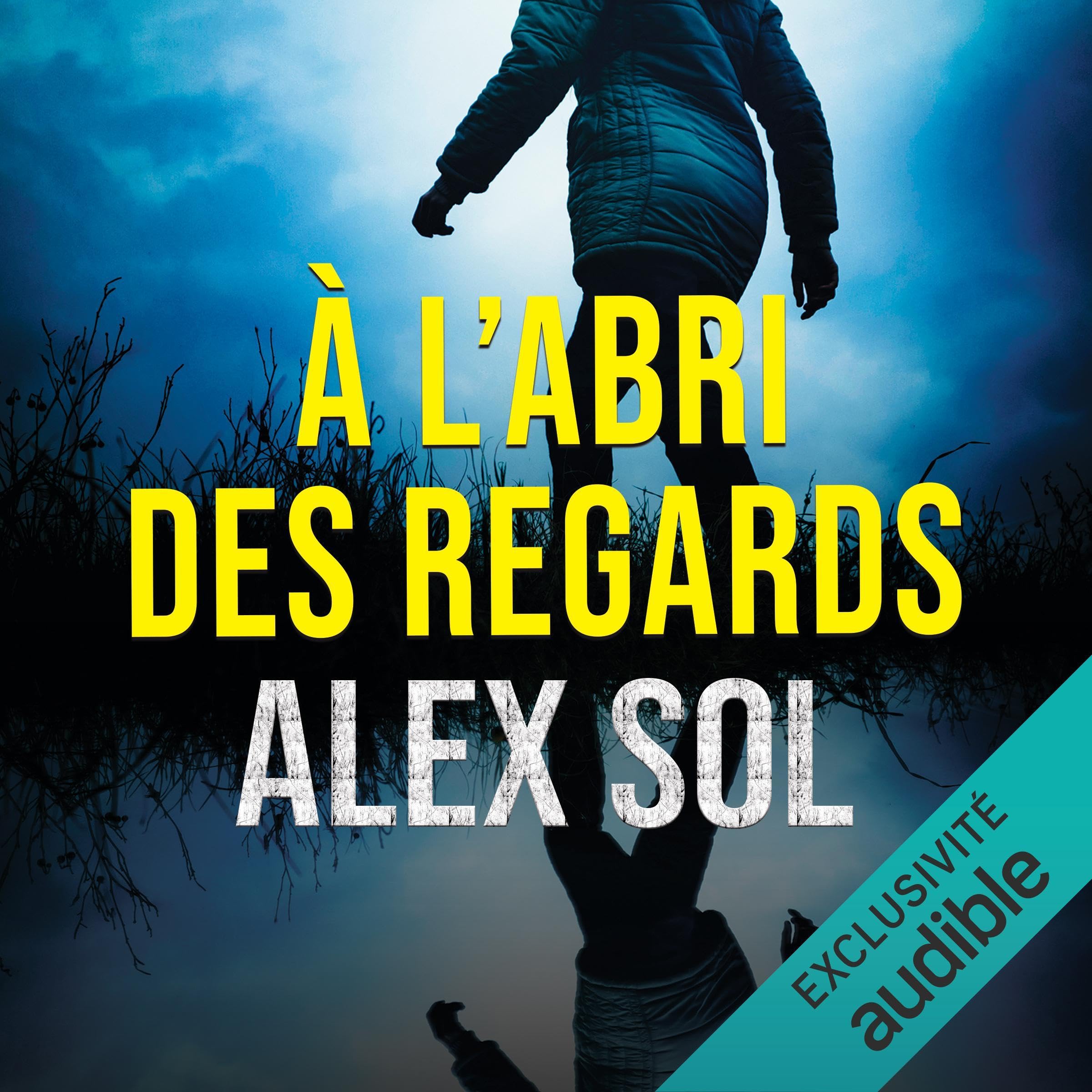 À l'abri des regards: Les enquêtes de Lucas Lievens et Elise Duromain