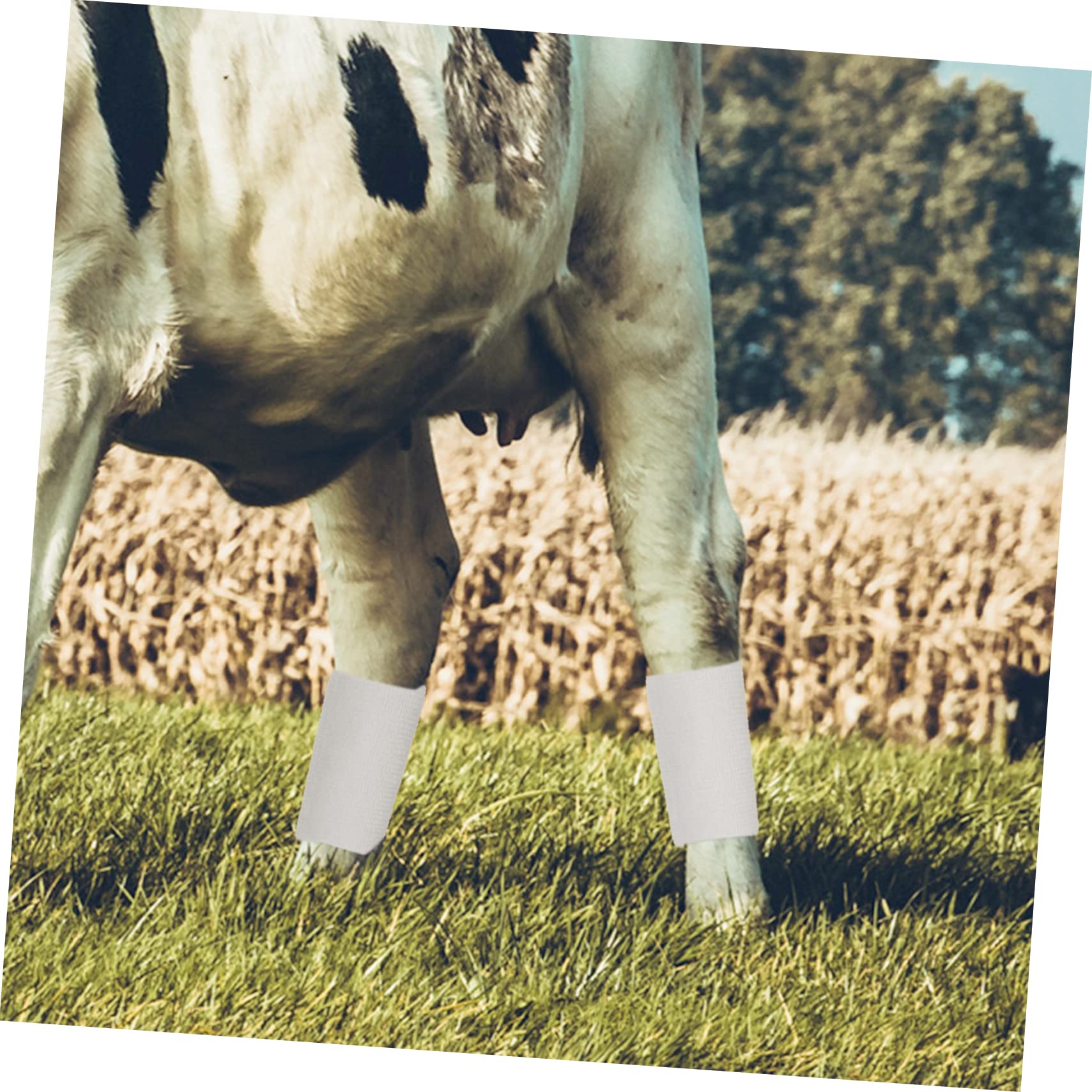 Sosoport Bandage Film Auto-adhésif Vache Auto-adhésif, Autocollant Bandes De Peau Auto-adhésives Bandages D'élasticité Sportif Bande Élastique Chiffon Blanche 2rouleaux
