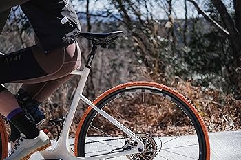 Amazon | パナレーサー(Panaracer) グラベルキングSK 700×38C