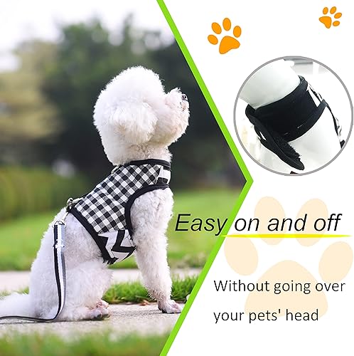 Miniatura 3 de Juego de arnés y correa para perro pequeño para invierno, chaleco acolchado suave ajustable para caniche, pomerania, chihuahua, pinscher minlature