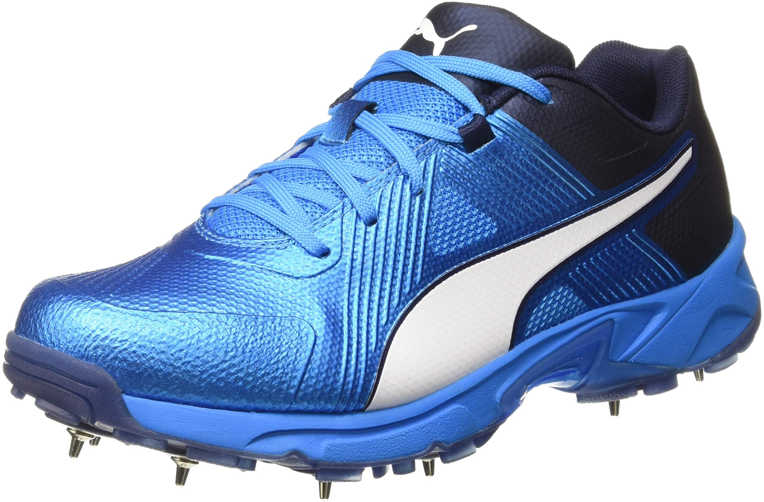PUMA Men's Spike 19.1 Cricket Shoes 