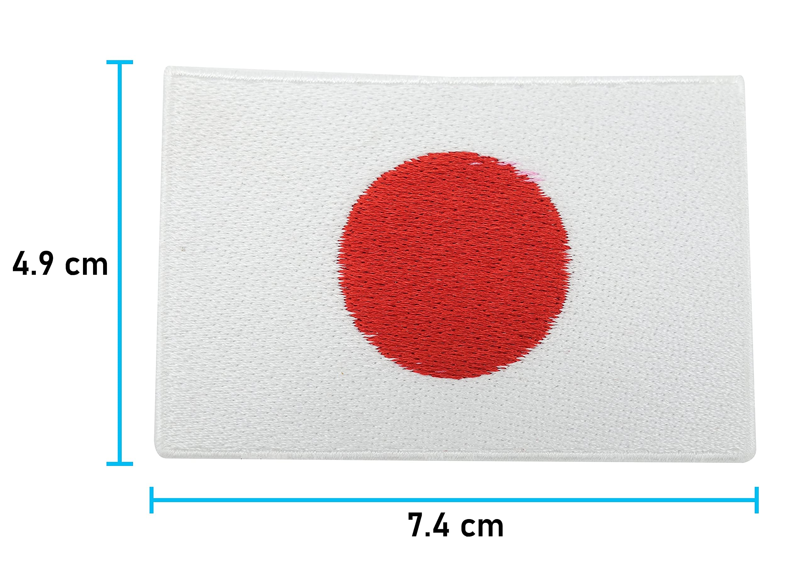 Finally Home Leuke Kawaii Sushi opstrijkbare patch | Aziatisch voedsel geborduurde patch, zalmvis, nigiri, machinewasbaar
