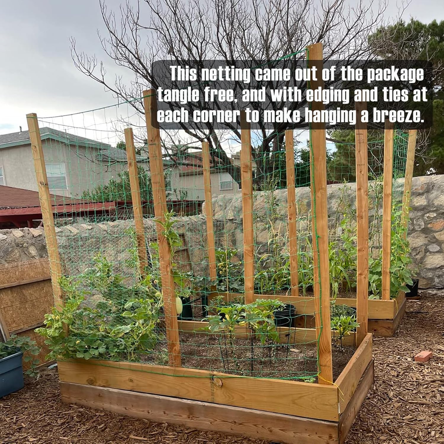 Trellis Netting, Heavy-Duty Garden Grow Netting for Climbing Plants, Outdoor Indoor Net for Cucumber, Tomatoes, Beans, Clematis, Fruits & Vegetables, Climbing Vining Plants (32.8' x 6.6'Ft)