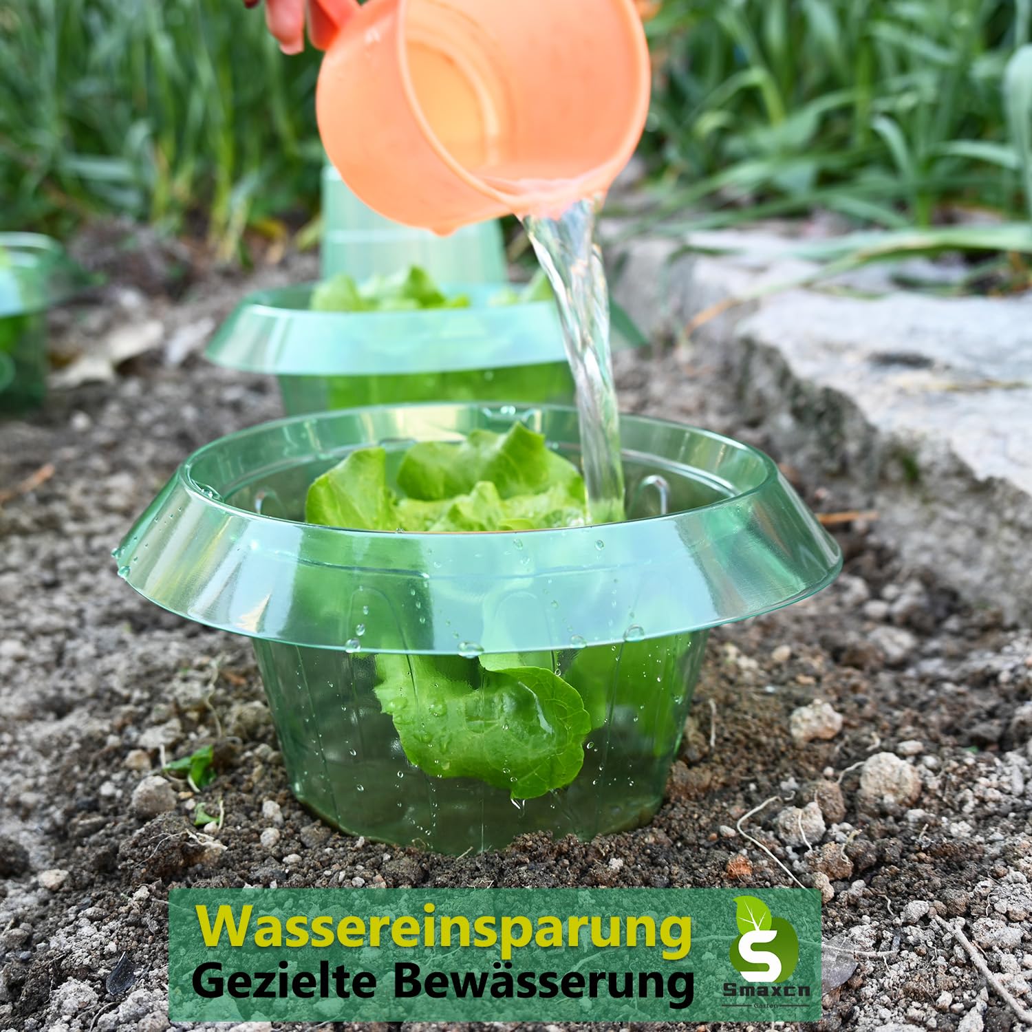 Schneckenkragen； Neueste Mittelgroßer Schneckenschutzring,Schneckenschutz Kann Ergänzung zum Pflanzenhut um einen Minitreibhaus zu kreieren.