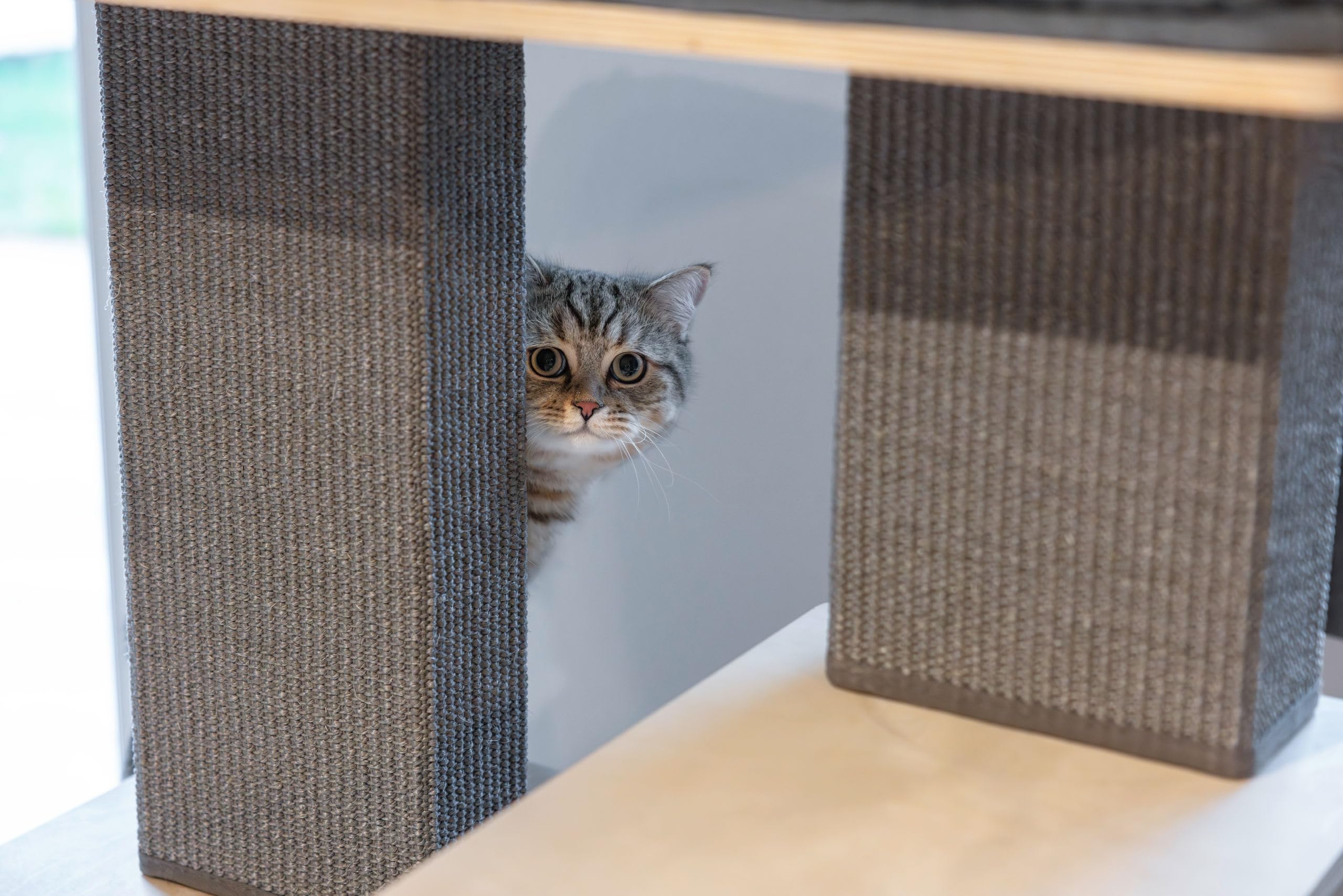 Kerbl Pet Tiragraffi Noah IV, mobili per gatti, grigio/naturale, 75 x 50 x 114 cm, compensato di betulla, per gatti grandi/pesanti, con colonna in sisal, diverse superfici di appoggio, lavabile
