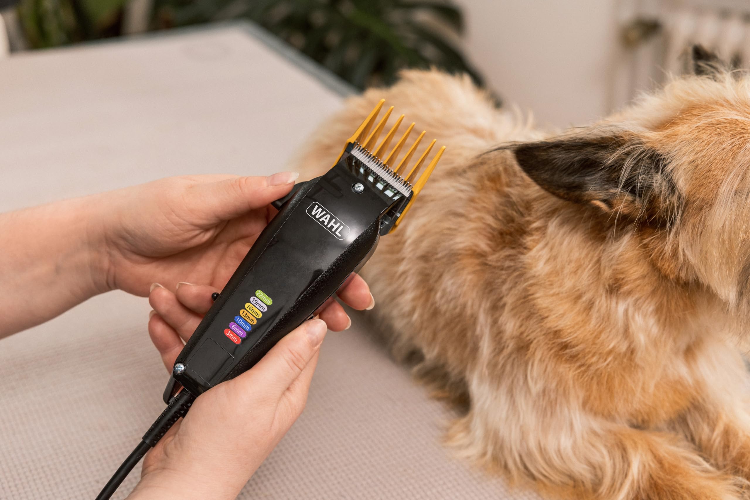 WAHL Multi Cut - silencioso, con cable, para uso doméstico, con cuchillas afiladas con precisión + WAHL Slicker Brush Medium - cepillos alisadores para animales de pelo largo y corto