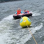 Review Image by Cindy P Cindy P